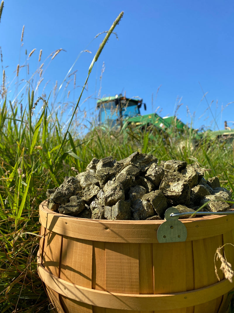 Cubes, Chips, and Pellets