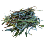 12 Willow Shoots with Leaves