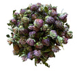 150 Clover Buds