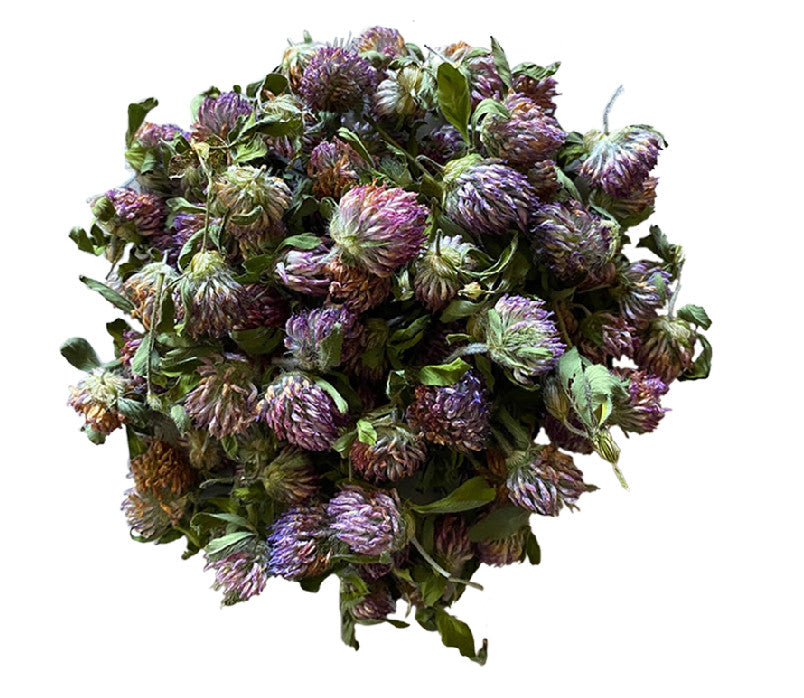 150 Clover Buds