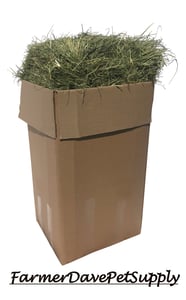 First Cutting Timothy Hay