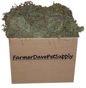 Tender Third Cut Timothy Hay