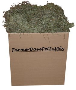 Tender Third Cut Timothy Hay