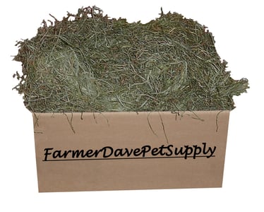 Tender Third Cut Timothy Hay