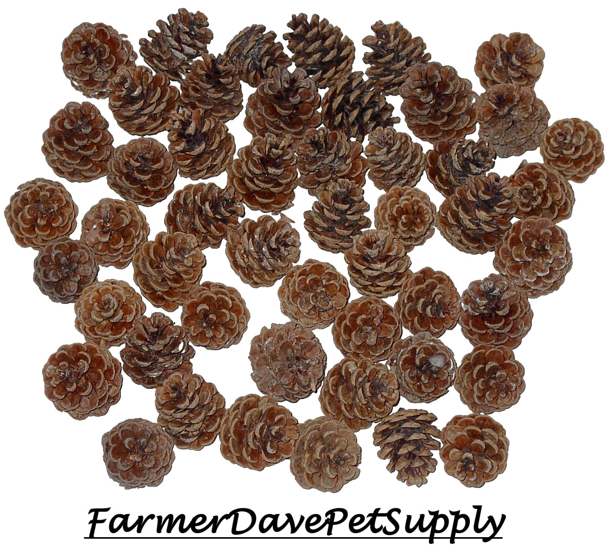 Pinecones