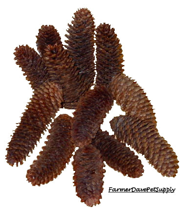 Pinecones