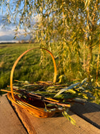 12 Willow Shoots with Leaves