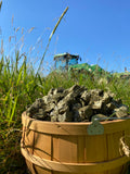 Timothy Hay Mini Cubes for Pets