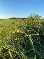 Second Cut Timothy Hay