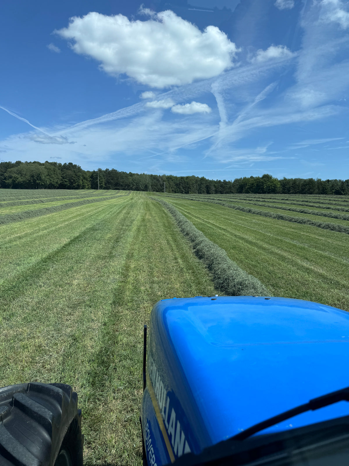 Second Cut Timothy with Clover Hay
