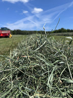 Second Cut Timothy Hay