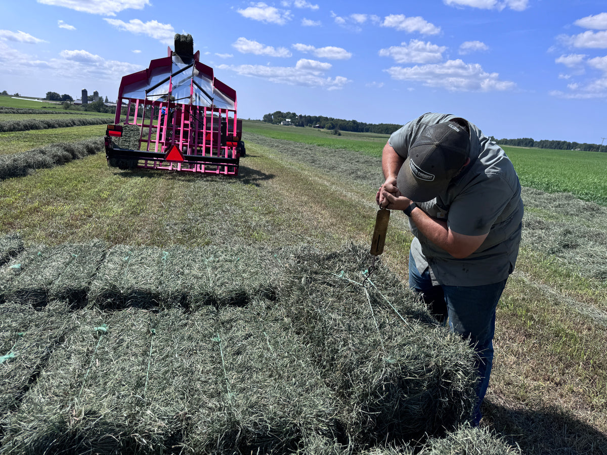 Second Cut Timothy Hay