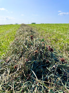 Second Cut Timothy with Clover Hay