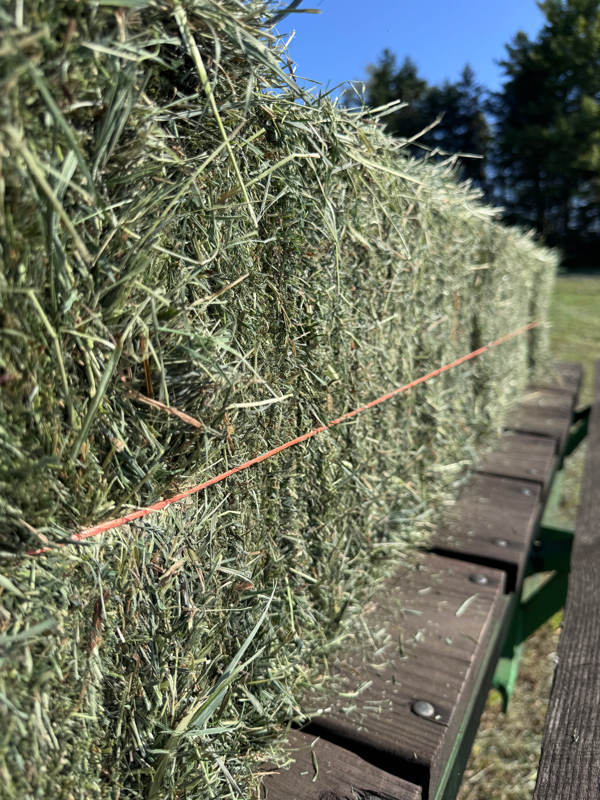 Second Cut Timothy Hay