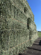 Second Cut Timothy Hay
