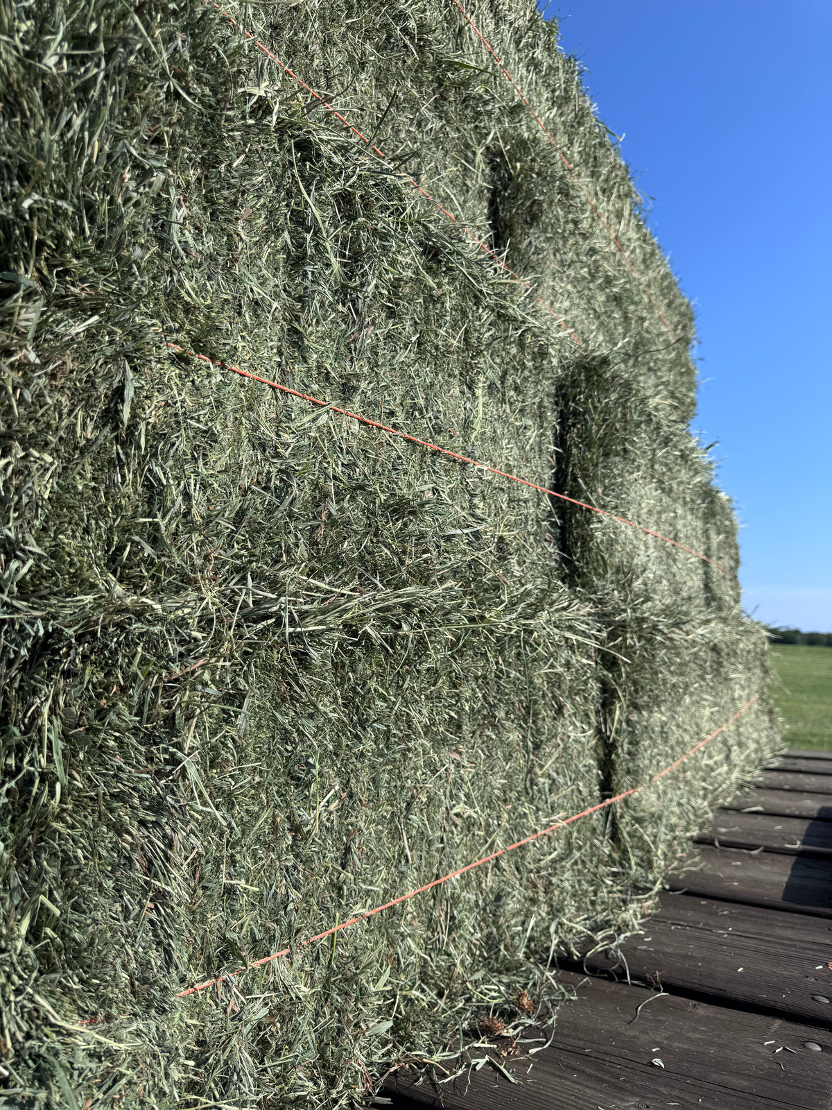 Second Cut Timothy Hay