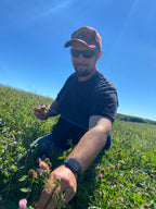 150 Clover Buds