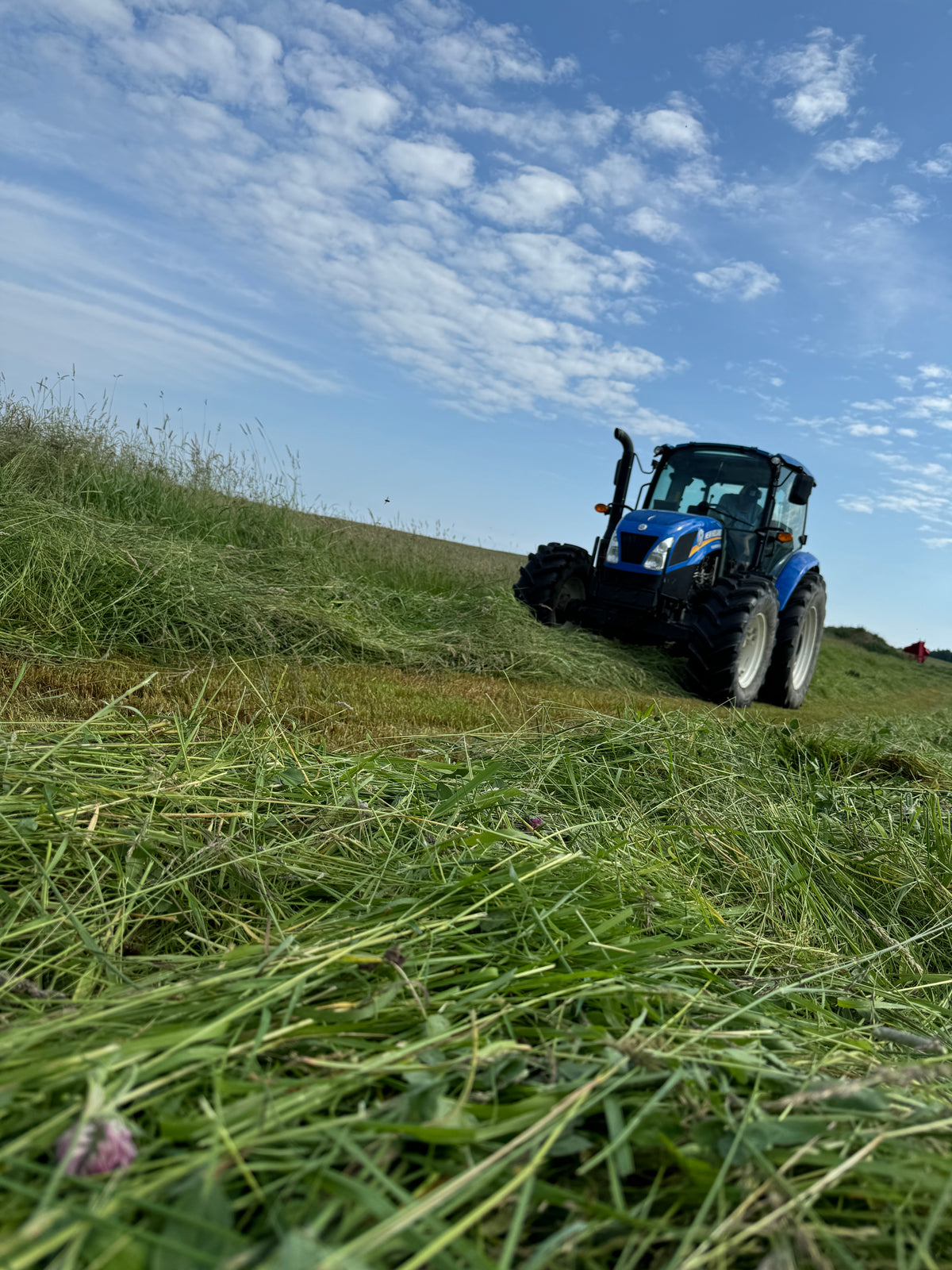 Second Cut Timothy with Clover Hay