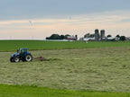 Early 1st Cut