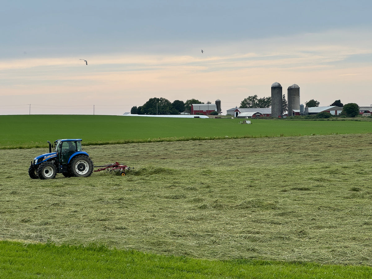 Spring Medley Hay