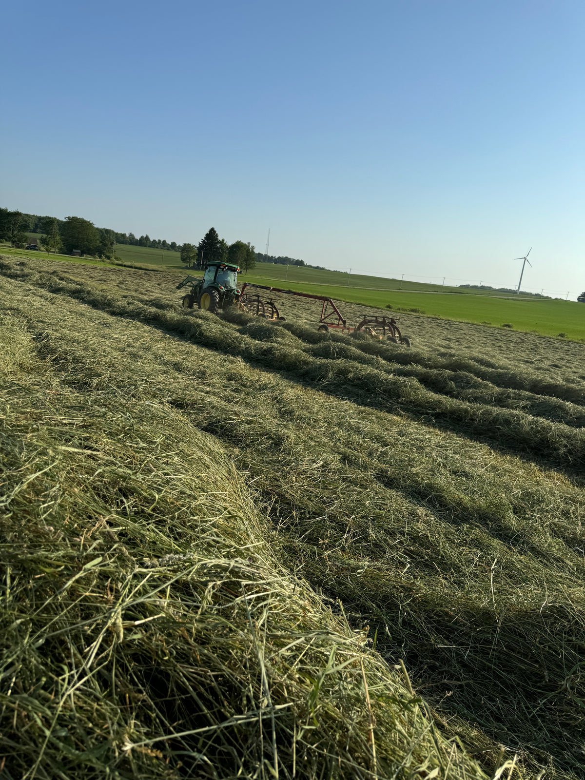 Hay Sampler