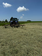 Spring Medley Hay