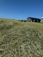 Hay Sampler