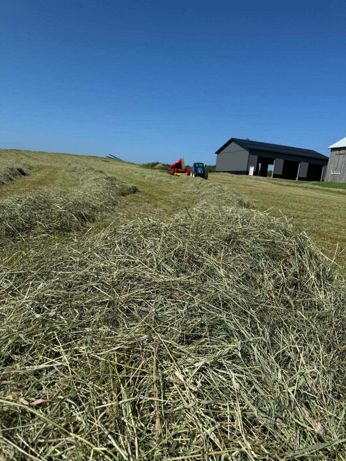 Hay Sampler