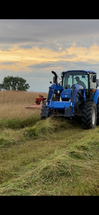 First Cutting Timothy Hay