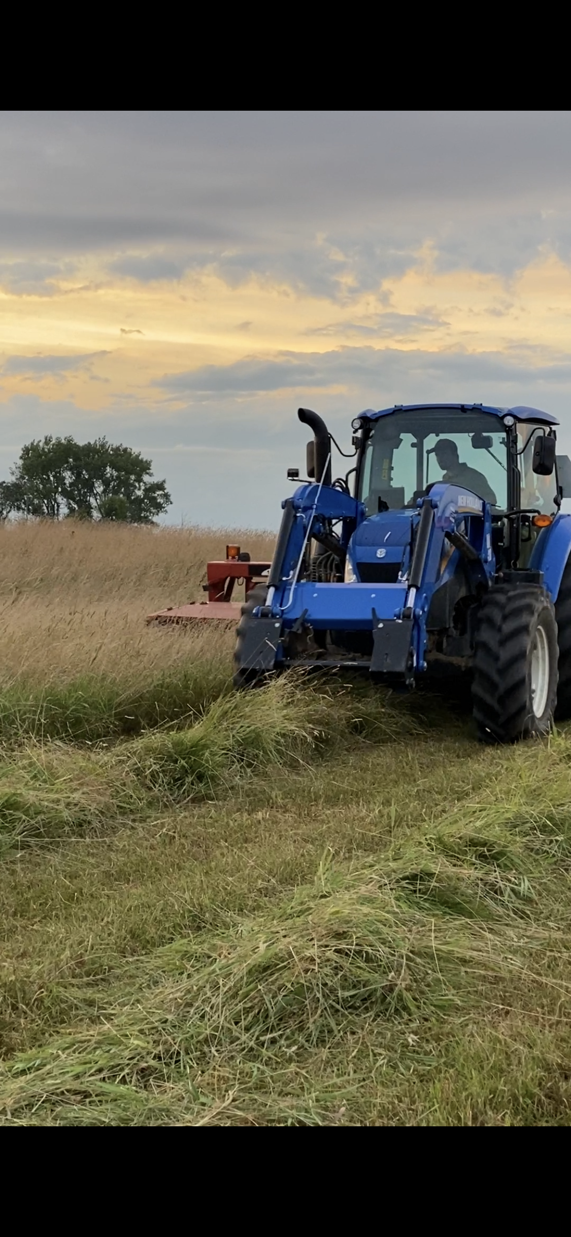 First Cutting Timothy Hay