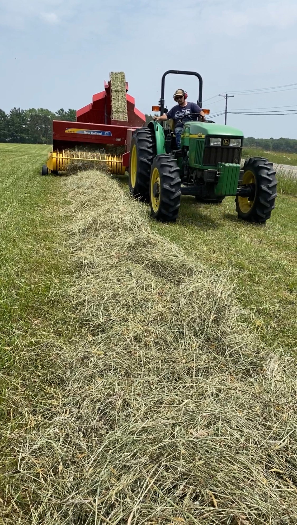 Spring Medley Hay