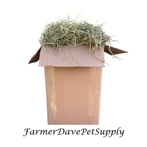Long Stem Medley - Premium 1st Cut Timothy Hay