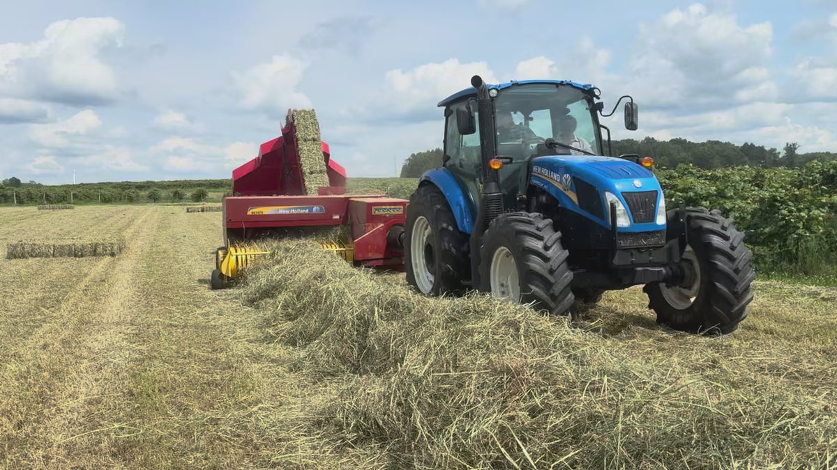 Long Stem Medley - Premium 1st Cut Timothy Hay