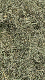 Spring Medley Hay