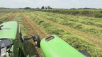 Long Stem Medley - Premium 1st Cut Timothy Hay
