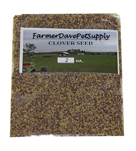Clover Seed