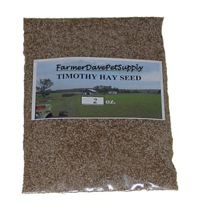 Timothy Hay Seed