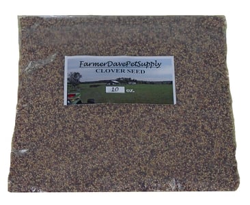 Clover Seed