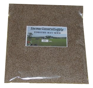 Timothy Hay Seed