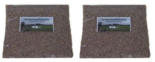 Clover Seed