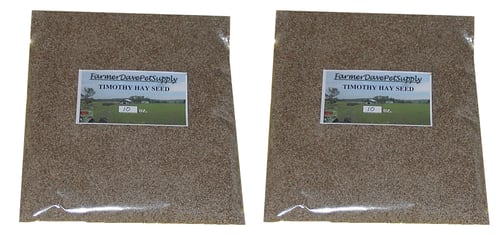 Timothy Hay Seed