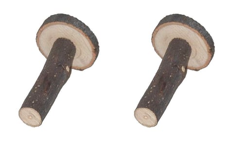 One Wheeler Apple Chew Toy - Dual Pack