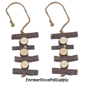 Apple Chew Toy - Dual Pack