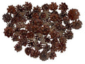 Pinecones